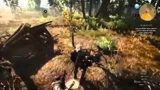 Missing In Action guide with Free - The Witcher 3 - Secondary Quest in White Orchard