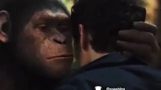 Dubbing Monkey's voice😂😂😂😂