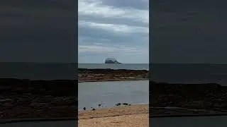Lunch with a View- Bass Rock, North Berwick