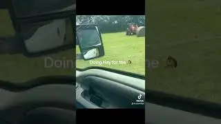 Hauling the first load of bales of 2023
