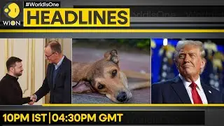 IDF Clears Plan For Gaza Offence | Infiltration Bid Foiled In Uri | India Stray Dogs Row | Headlines