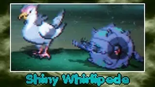 Shiny Whirlipede/Scobolide after 2410 RE's
