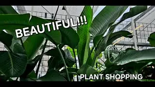 #97 - Come Plant Shopping With Me!! - GardenWorks in the Comox Valley