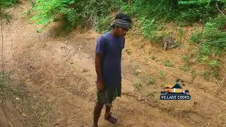 Building A Trap For Wild Boar | Trap Making | Village Cooks