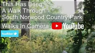 A Country Park Walk to Ambient Music.