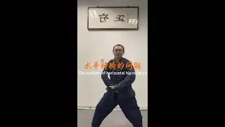 水平转胯的问题 #kungfu #martialarts #chineseculture #内劲 #太極拳 #武術