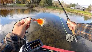 I Didn't Think Fly Fishing Was THIS Much Fun (Legendary Fishing Day)