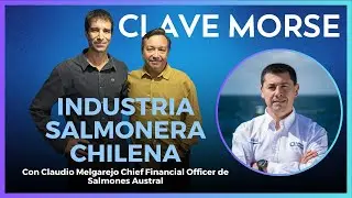 Estado actual de la industria salmonera en Chile #ClaveMorse