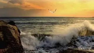 Θάλασσα πλατειά ~Μαρία Δημητριάδη