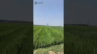 Revolutionizing Agriculture with AutoMatrix Robotics AgriDrones #technology #agriculture #drone