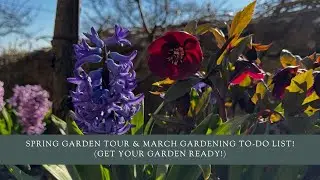 Spring Garden Tour & March Gardening To-Do List! (Get Your Garden Ready!)