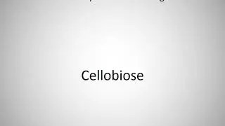 How to say Cellobiose in English?