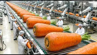 Inside The BIGGEST 🥕Carrot Juice Factory : Full Process How Luxury Carrot Skincare Is Made
