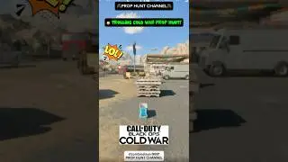 🤣 TROLLING PROP HUNT in COLD WAR! (Diesel) #prophunt