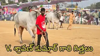 రెంటచింతల సబ్ జూనియర్స్ 7జత. శ్రావణ్ కుమార్ గారు. చంద్రకల్ గ్రామం. పెద్దకొత్తపల్లి మండలం
