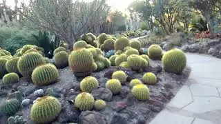 Walking tour of the Desert Garden at Huntington Library, Art Collections and Botanical Gardens