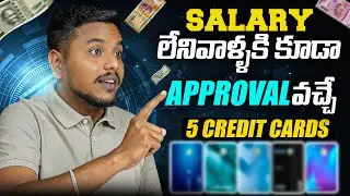 Best Credit Cards For Self Employees | Easy Approval Credit Cards | Credit Cards For Beginners