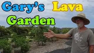 Gary's Lava Garden - Growing Food on a Volcano & Lava from Kilauea