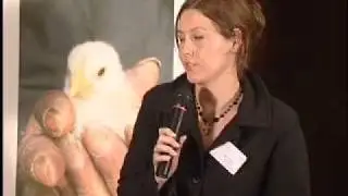 Controlling Bird Flu in South Africa