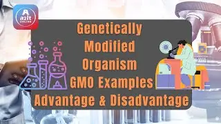 GMO Genetically Modified Organism Examples, Advantages & Disadvantages in Hindi  Part 2