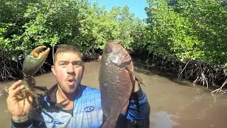 Tinny Fishing in Croc Country &ndash; Cairns Estuary