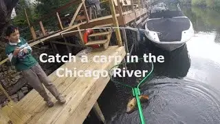 How to catch a carp in the Chicago River. Bonus footage of saving a Kayaker. #fishing #chicago
