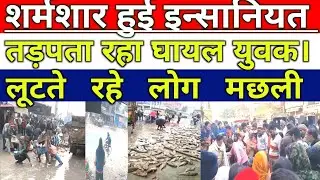 शर्मशार हुई इन्&सा&निय&त त&ड़&प&ता रहा घा&य&ल युवक।लूटते रहे लोग मछली