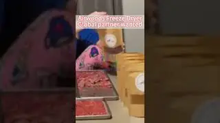 🔥 New Business Trend 2025!