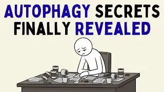 What Happens to Autophagy When You Use Intermittent Fasting Long Term (Science Explained)