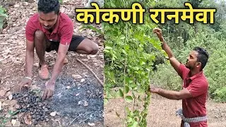 बायको बरोबर आलो बागेत रानमेवा आणायला | Ketan Nagvekar | रानमेवा | #कोकण #कोकणरानमेवा