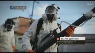 Между строк. Вирус Зика привезут с олимпиады