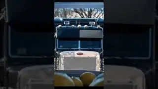 The Grumpy Pete #shortsvideo #vlog #minions #peterbilt #fyp #vlog #vlogger #largecar