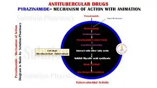 Antitubercular Drug | Pyrazinamide Mechanism of Action Animation | Anti TB Drugs | Pyrazinamide