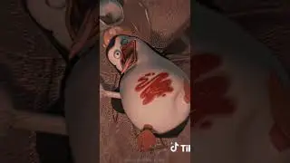 esos ping&uuml;inos son unos cracks 😎