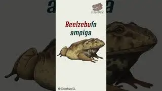 Nos ponemos sat&aacute;nicos con estas especies #biologia #paleontologia #memes #ciencia #animales