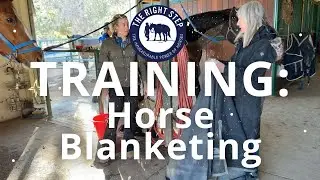 How to Blanket a Horse