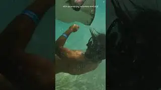 Surrounded by Deadly Stingrays! An Unbelievable Escape!#OceanLife #SeaWonder #Stingrays #Dangerous
