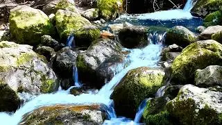 Mossy Stream White Noise | 10 Hours of Relaxing Mountain Creek for Meditation & Yoga