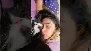 আমার সোনা বিরাল#cat #music