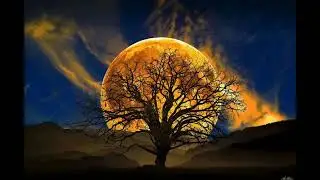 Baba o cheler golpo #inspirational