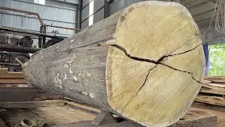 Sawn Wood In The Factory | Biggest Saw Cutting Large Amount Of Wood | Technology Machine