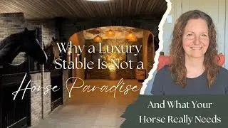 Why a Luxury Stable Is Not a Horse Paradise &ndash; and What Your Horse Really Needs...