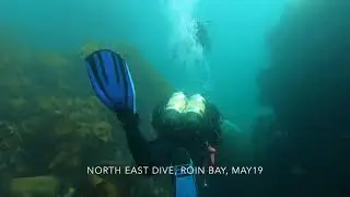 Diving Roin with North East Dive