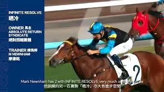 【Hong Kong Classic Mile 2026】Vote for your Favourite 4YO Stars (1st round)