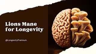 🍄&zwj;🟫 The Mushroom That Can Support Nerve Growth? Lion&rsquo;s Mane&rsquo;s Most Surprising Longevity Secrets