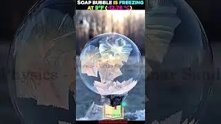 Soap bubble is freezing  #physics #soapbubbles #soapbubble #surfacetension #scienceexperiment