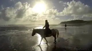 Ruapuke Wildcoast Horse Trek, Raglan
