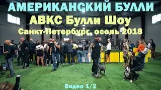 ABKC Булли-шоу, Санкт-Петербург осень 2018. Интервью с президентом ABKC Dave WIlson.