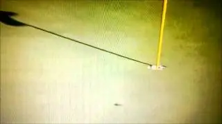 Nick Watney- Hole in One at Masters Par 3 Contest