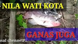 Alhamdulillah masih ada spot cantik di tengah kota (Palembang)